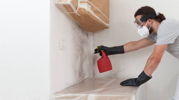 Professional Bathroom Mold Removal technician working in Glen Burnie, MD
